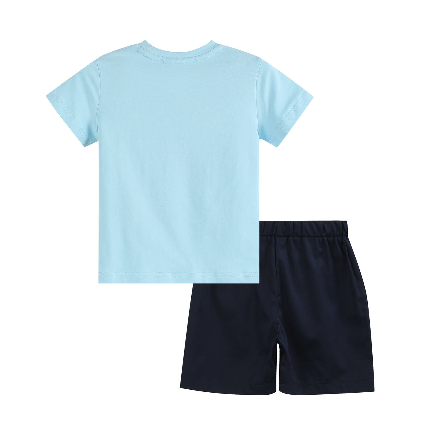 Blue Turtle Smocked T-Shirt and Shorts Set
