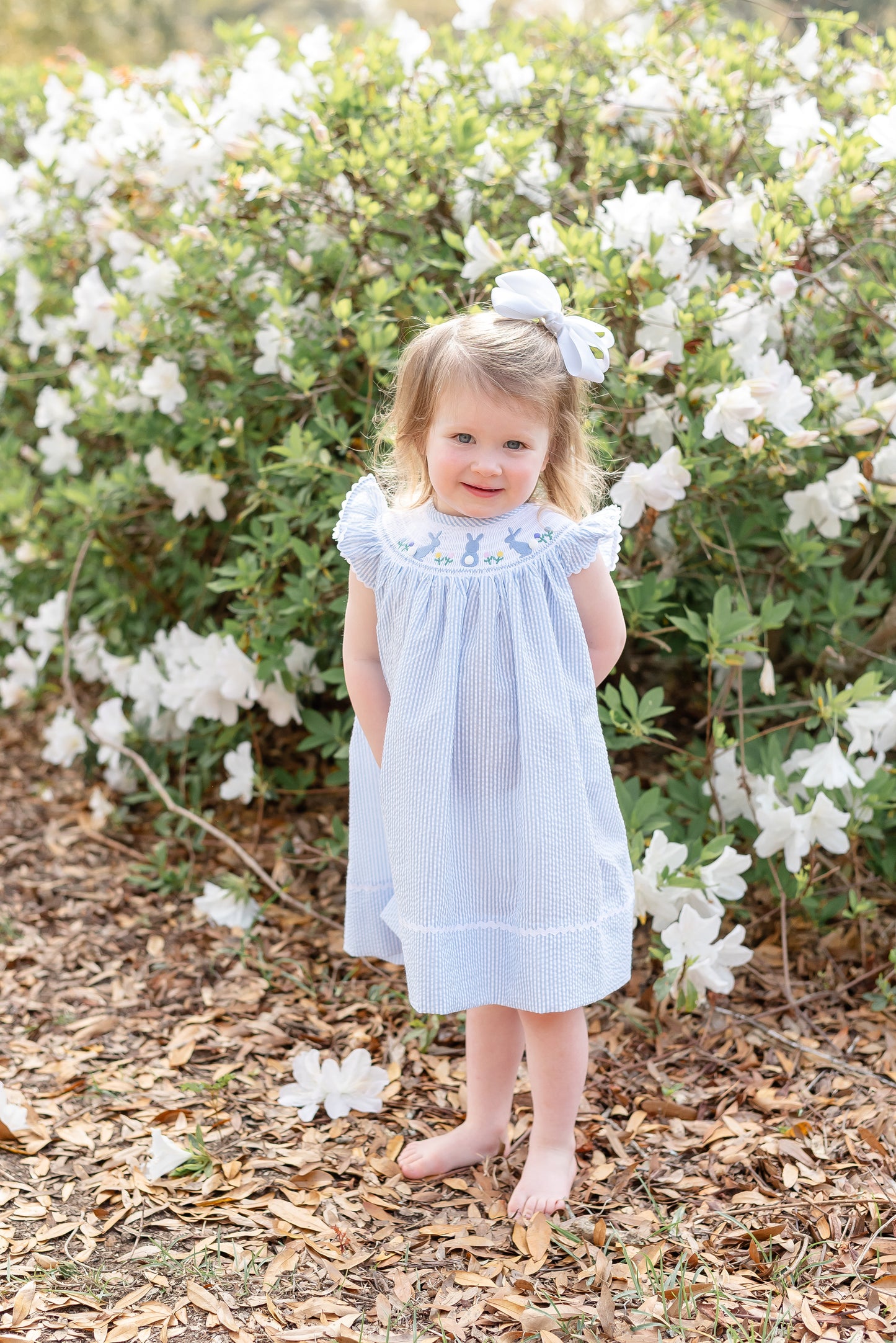 Light Blue Seersucker Easter Bunny Smocked Bishop Dress