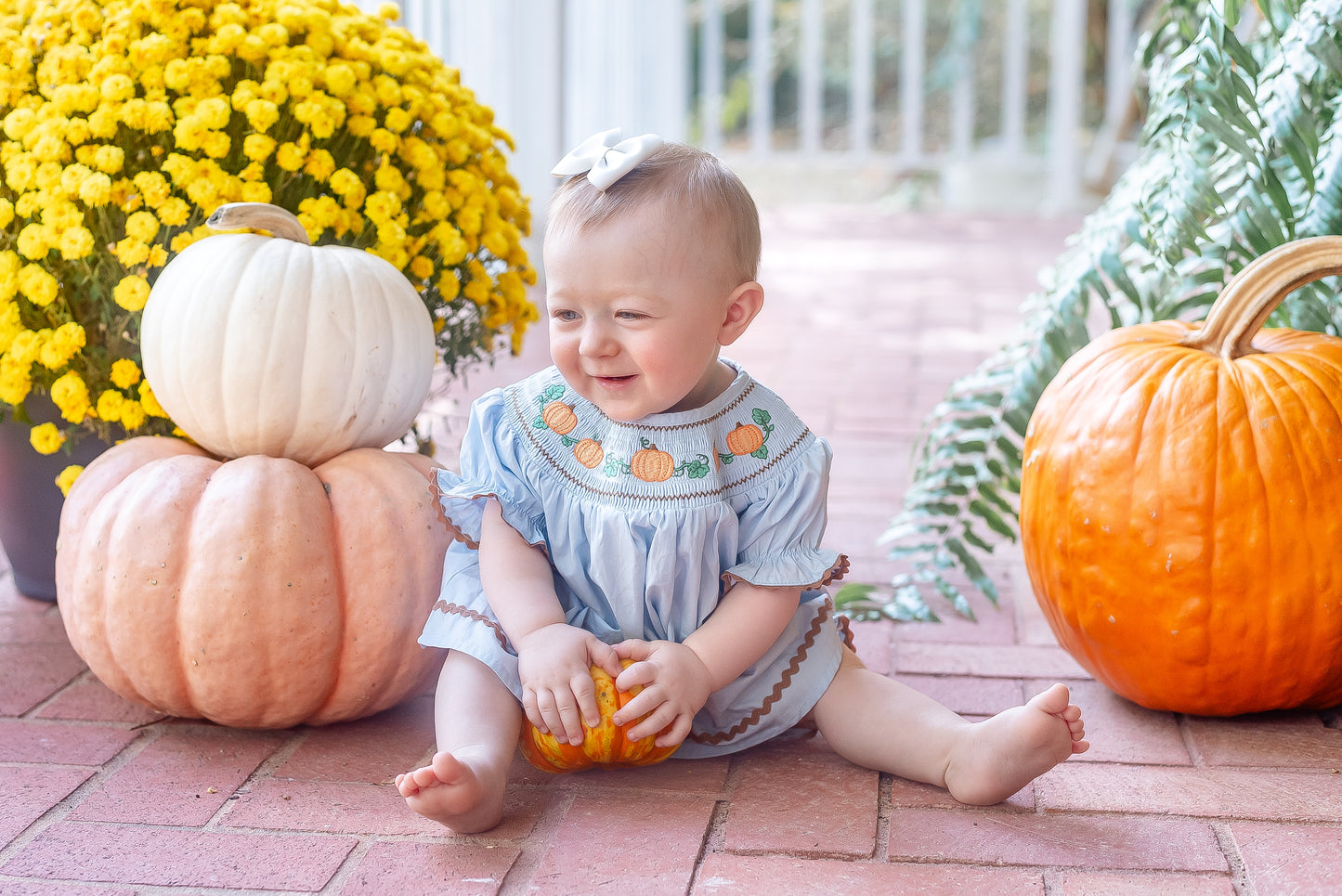 Blue Pumpkin Smocked Dress and Bloomers Set
