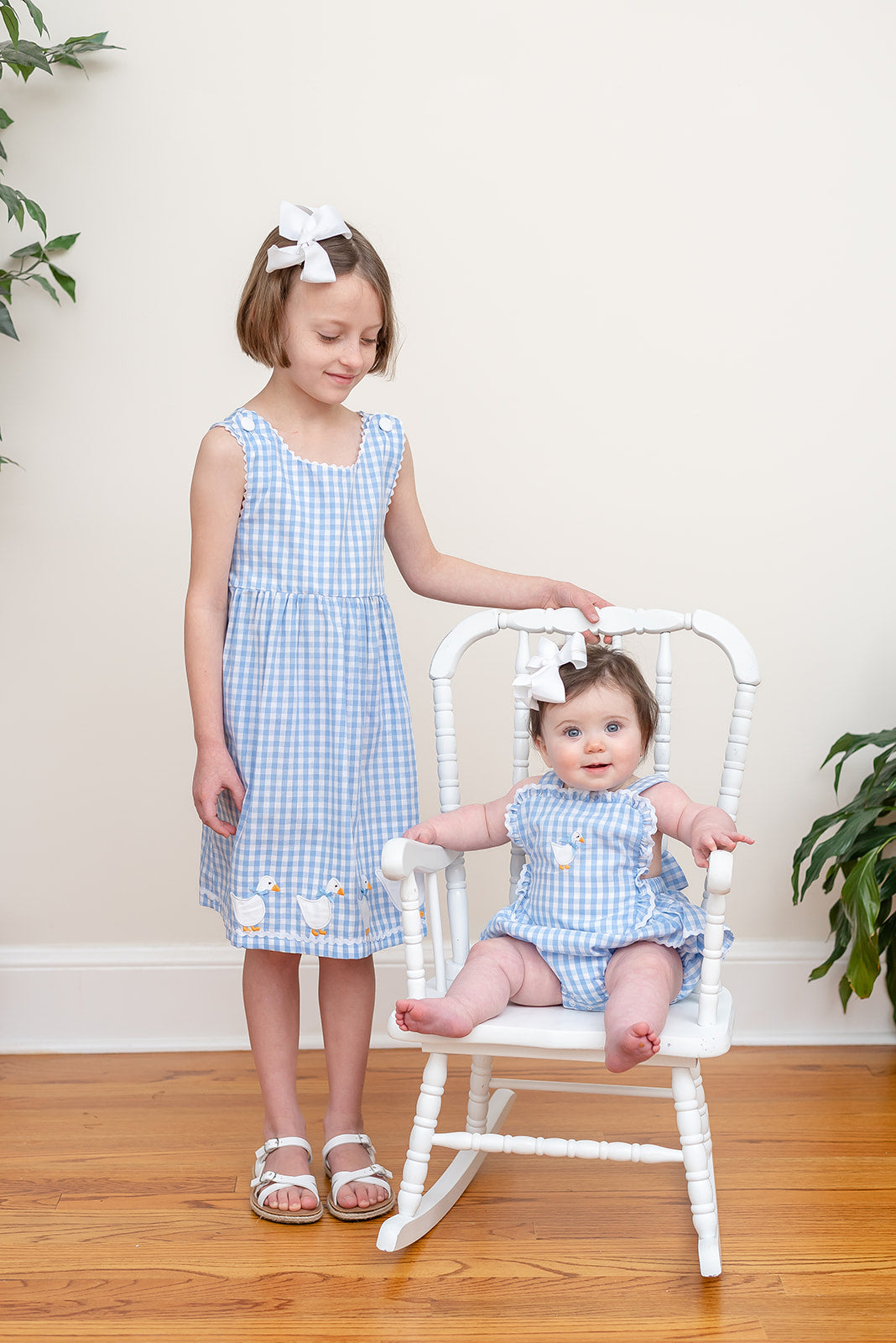 Blue Gingham Goose A Line Dress