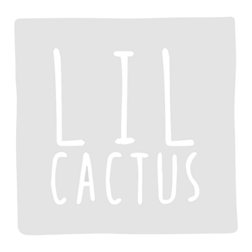 Lil Cactus Wholesale