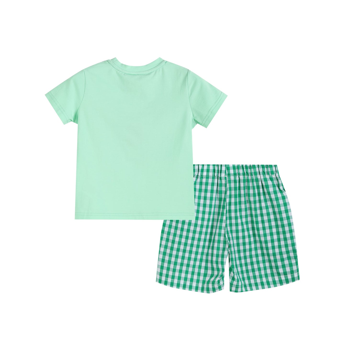 Green Watermelon Smocked T-Shirt and Gingham Shorts 2pc. Set